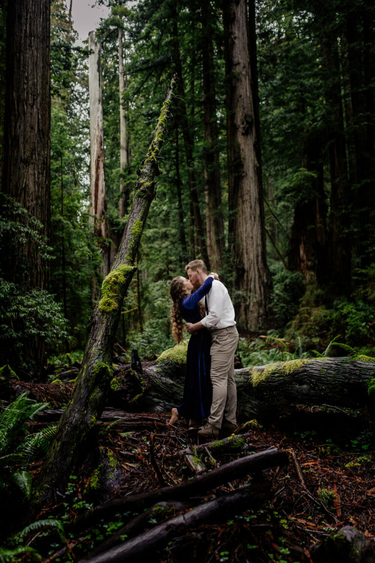 Redwood engagement session with blue velvet dress