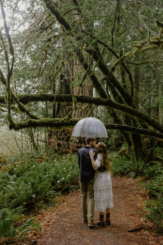 Couple kisses in a down pour at Redwood National Park.