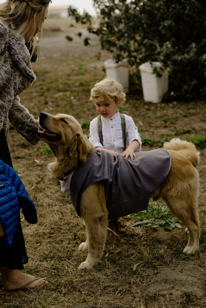 Young guest pets golden retriever in grey wedding vest at Humboldt Bay Social Club - Oyster Beach