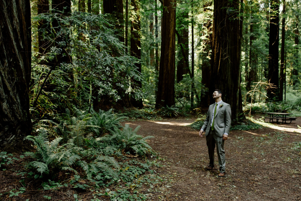 Partner in grey suit is breathless at the sight of his bride seated amongst the redwood forest in Pamplin Grove