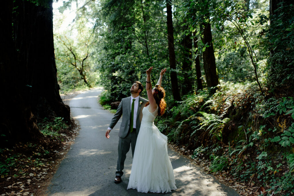 Northern California redwood wedding