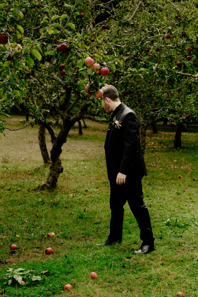 Groom in black suit walks through apple orchard in Eureka, California.