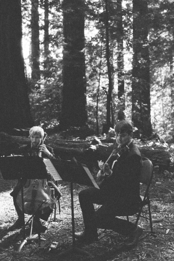Cellist and violinist playing first dance song at wedding in the Northern California redwoods