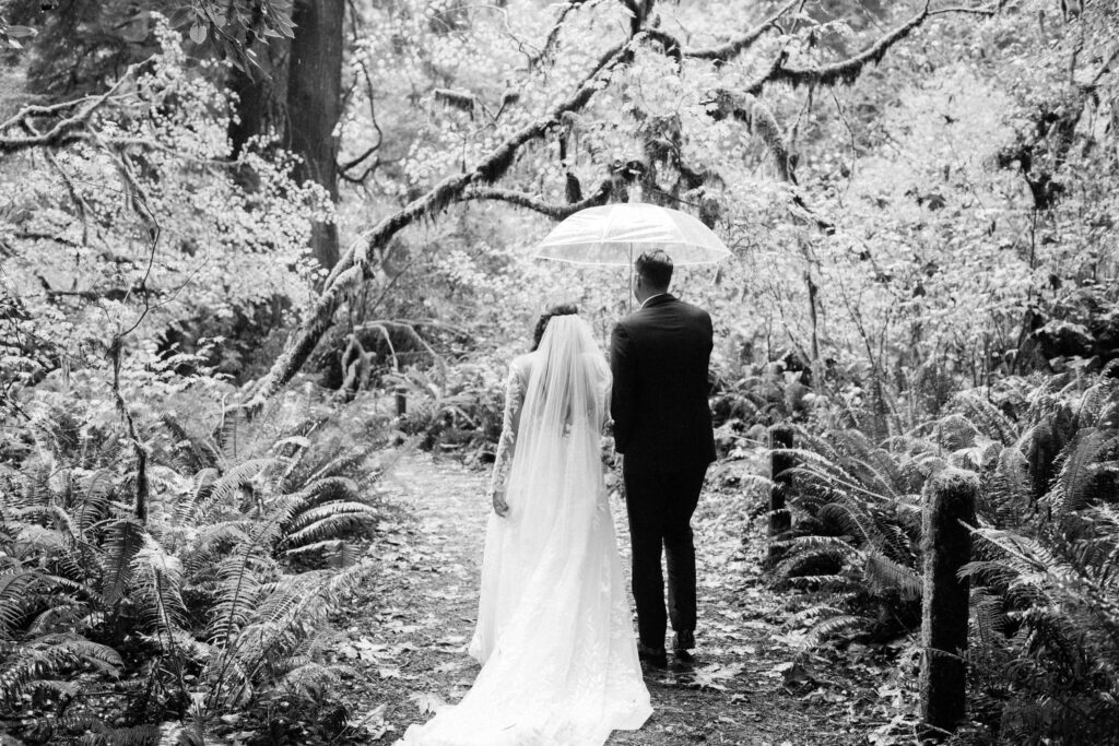 Black and white portrait of bride and groom under an umbrella walking through a carpet of fallen leaves in Redwood National Park